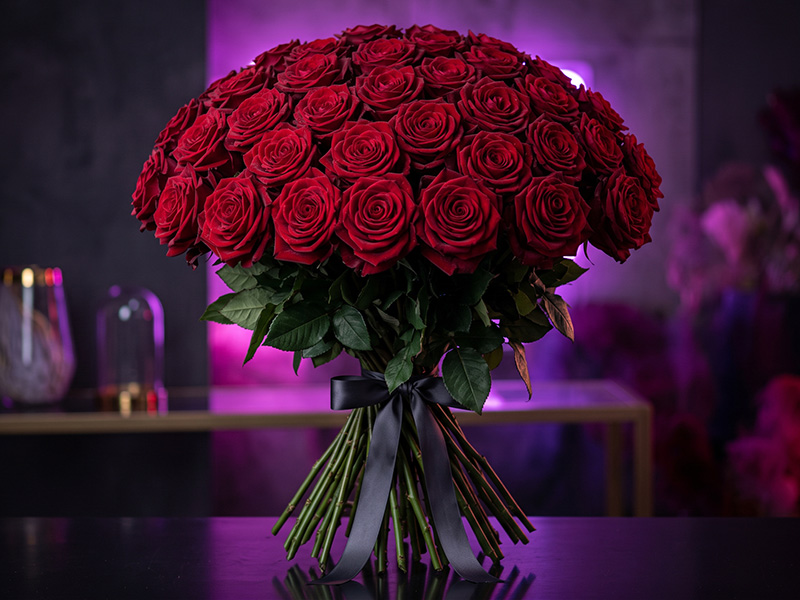 Dutch Dark Red Velvet Roses